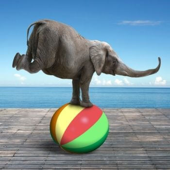 Elefant balanciert auf einem bunten Ball